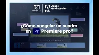 ¿Cómo congelar un cuadro en Adobe Premiere Pro? - Megacad Ingeniería y Sistemas SAS