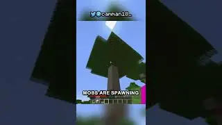 cursed minecraft mp4