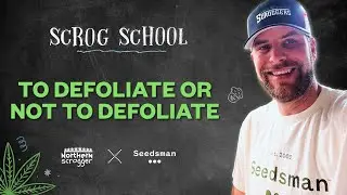 S3/Ep12 - To Defoliate or not to Defoliate - SCROG SCHOOL