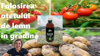 Wood vinegar - fungicide, insecticide, natural fertilizer for all plants!