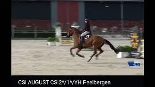 Hannes B - winner - CSI PEELBERGEN 24