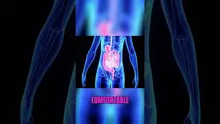 Vagus Nerve Yoga for Digestion #vagusnerve #digestion #yogafordigestion