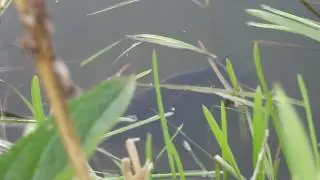 DSCF3128
