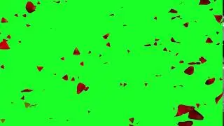 flowers green screen effects.free use.green screen effects,rose effects