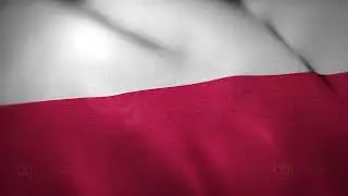 Poland Flag - Realistic - Waving Flag - Full HD - 1080 - Seamless Loop