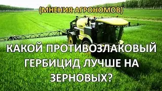 Application of herbicides against wild oats and millet on wheat and barley