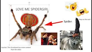 Spider???!!!