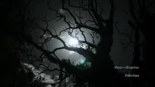 Best Chill Out  Sax Tune....