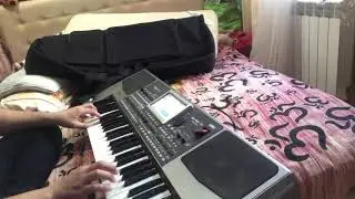 Доля воровская Korg pa900