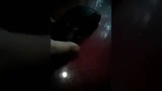 Классный бпан бродяга