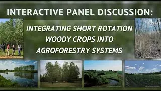 Panel Discussion: Integrating Short Rotation Woody Crops into Agroforestry Systems