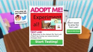 New test lab in adopt me! (Roblox)