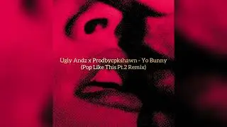 Ugly Andz x Prodbycpkshawn - Yo Bunny (Pop Like This Pt.2 Remix) TikTok version