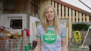 S'engager pour les petits vétérans à quatre pattes | Journée de la bonne action | 2024