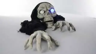 Crânio Fantasma | Decoração para Halloween e Festas de Terror