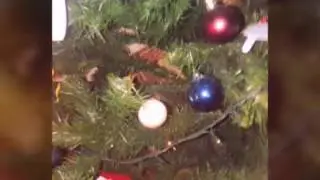 с новим годом!!!