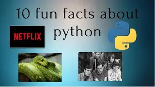 10 fun facts you don't know about python  I programming kids