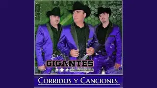 MI CORAZON NO TE OLVIDA