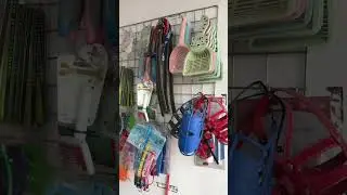Family Pet Clinic Islamabad 