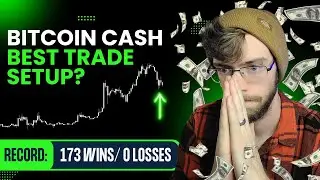 The BEST Bitcoin Cash Trade Setup Now? (173 Wins, 0 Losses) | BCH Price Prediction