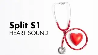 Split S1 - Heart Sounds - MEDZCOOL
