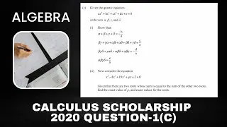 Calculus Scholarship 2020 1c (i) #algebra #ncea #gcse