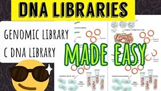 Genomic library & C DNA library || DNA libraries|| made easy😎