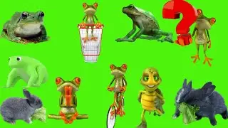 3D Green Screen Funny Video| Watch This Hilarious Trick video!