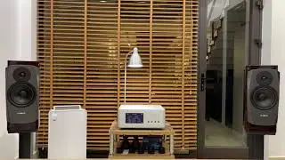 Dynaudio Confidence 20 & Boulder 866 #03