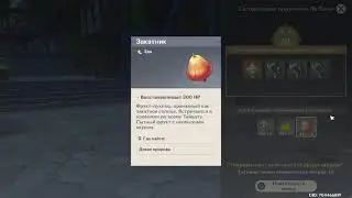 Genshin Impact Событие Торговец Ли Бэнь, третий день 2021 01 25