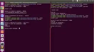 Server Client echo in Mode UDP and TCP
