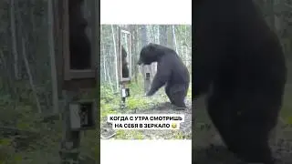 😂 КОГДА С УТРА СМОТРИШЬ НА СЕБЯ В ЗЕРКАЛО 😂