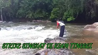 STRIKE SINGKAT DIRIAM TINGGI// CASTING IKAN HAMPALA #hampala #casting