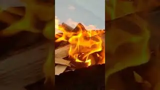 Костёр #belarus #food #funny #love #sports #recommended #beauty #енот #trending #nature #ytshorts