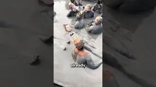 don't take a mud bath here
