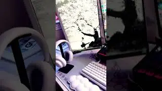 Setup Tour!