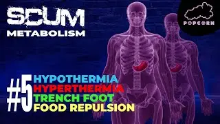 SCUM Ultimate Metabolism Breakdown Series (SCUM Game) 