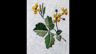 Мастер-класс 