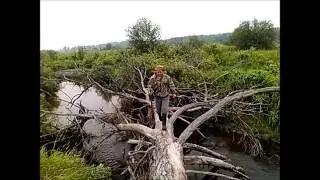 Шипулина мельница