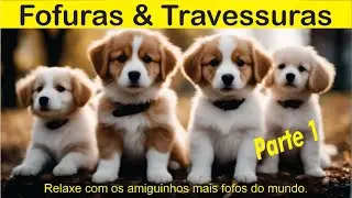 Fofuras e Travessuras parte 1 -  Dog