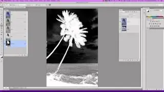 Selezioni e Canali con Photoshop