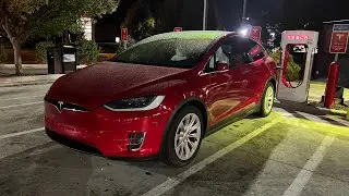 Day 2680 Tesla Ruby Return to School
