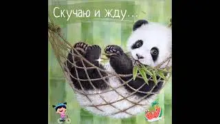 Вот и лето прошло, словно и не бывало 🌞....