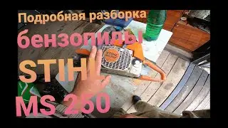 Разбираем бензопилу STIHL MS 250