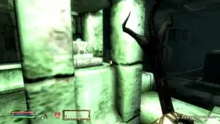 прохождение The Elder Scrolls IV Oblivion 68 серия (Секрет Ватакена)