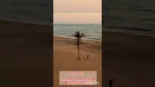 DARAK BEACH🌴Crossroads of desert and sea 😍📌Sistan and Baluchestan,Iran, #Shorts