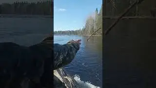 16 мая 2023 г.
