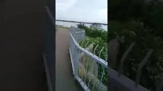Love connecting with nature