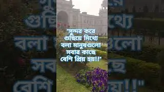 সুন্দর করে গুছিয়ে মিথ্যে বলা মানুষগুলো সবার কাছে বেশি প্রিয় হয় #viralvideo #emotionalstatus