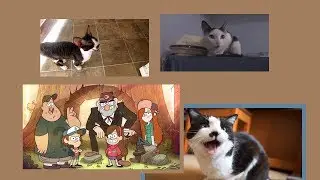 Cats Sing GRAVITY FALLS THEME SONG (new layout)